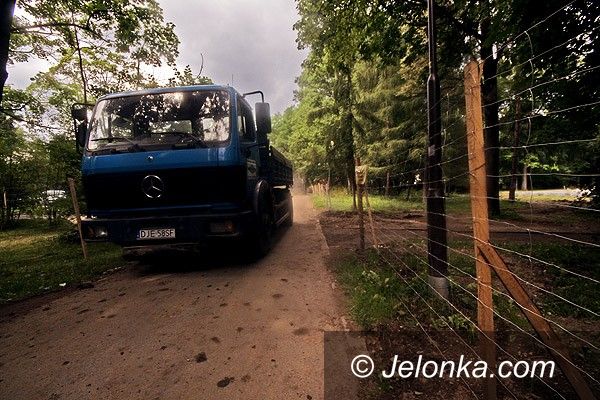 JELENIA GÓRA: Park Zdrojowy: poślizg i przyspieszenie