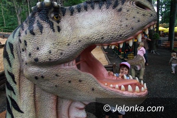 SZKLARSKA PORĘBA: Oko w oko z dinozaurem i mamutem