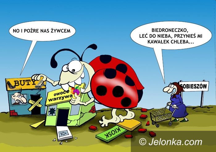 JELENIA GÓRA: Biedronka pod Chojnikiem