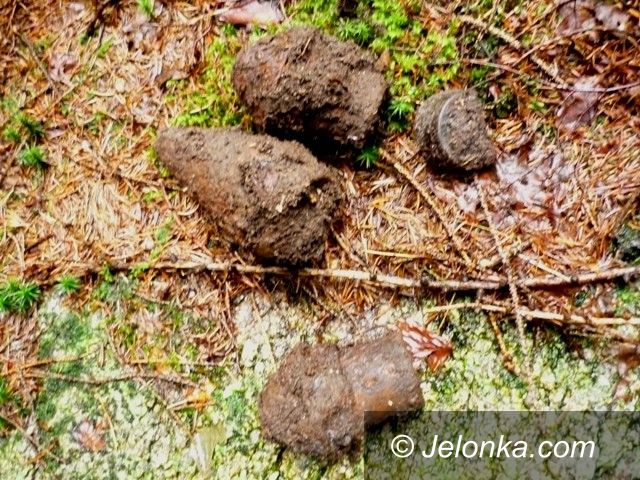 SZKLARSKA PORĘBA: Wybuchowe pamiątki tuż przy szlaku