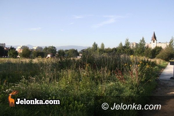 JELENIA GÓRA: Zabobrze bez chaszczy