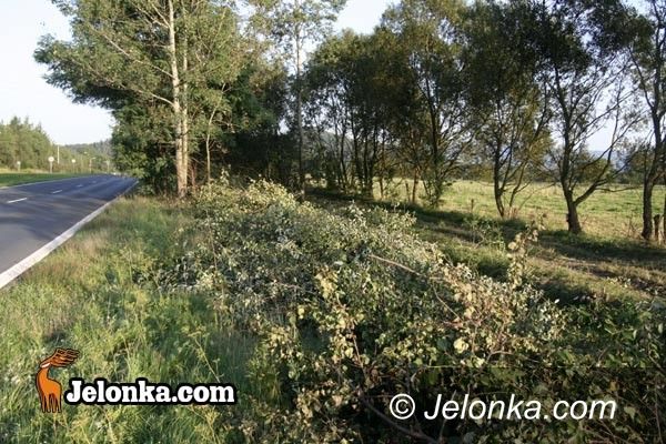 JELENIA GÓRA: Rusza budowa drogi rowerowej na Zabobrzu