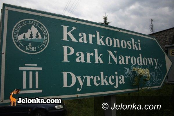 JELENIA GÓRA/ region: Pracownicy KPN – u poznają tajniki czeskiego języka