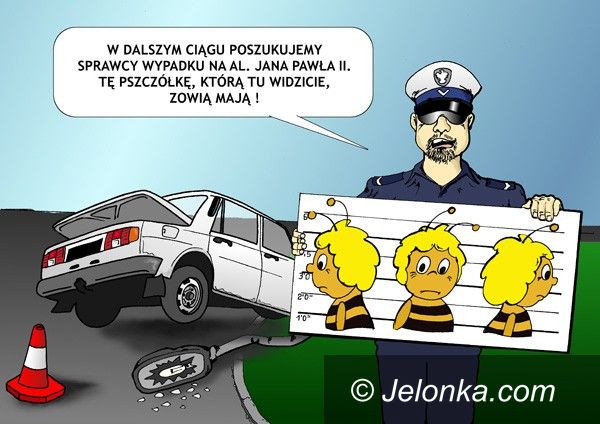 JELENIA GÓRA: Pszczółka Maja poszukiwana