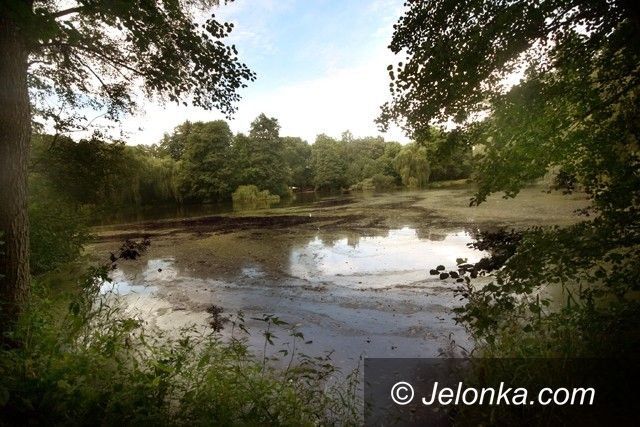 JELENIA GÓRA: Park Norweski znów z kajakami?