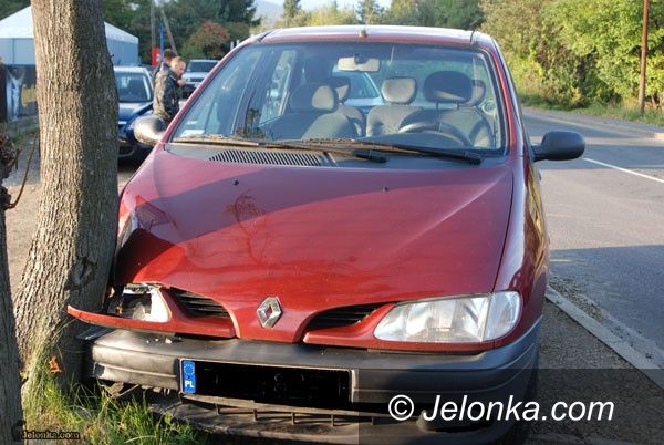 JELENIA GÓRA: Renówką w drzewo na Cieplickiej