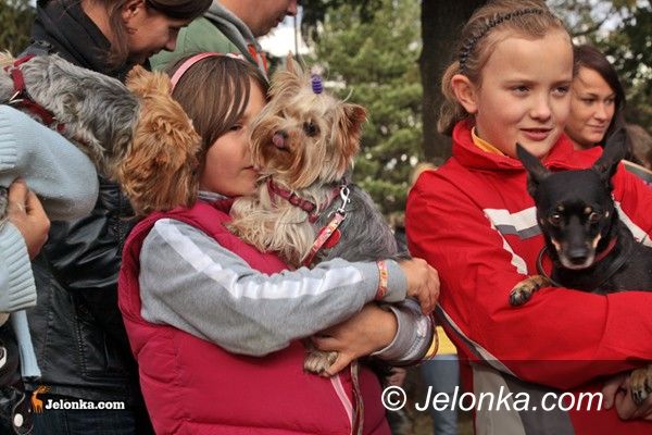 JELENIA GÓRA: Światowy Dzień Zwierząt: zerwijmy psom łańcuchy