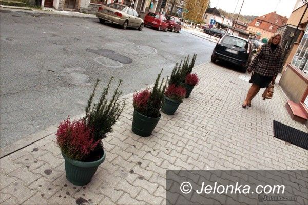 JELENIA GÓRA: Zamiast znaku zakazu parkowania – kwiatki