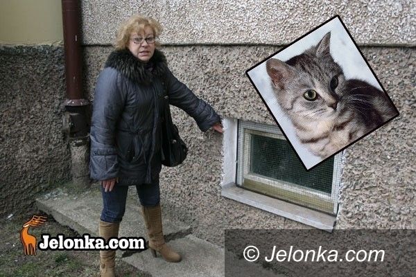 JELENIA GÓRA: Miłośniczka zwierząt do fotela prezydenta