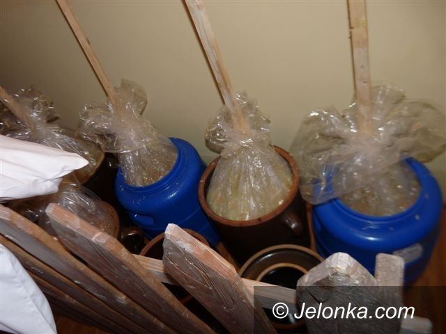 JELENIA GÓRA: Wiedzą, jak wzorowo ukisić kapustę