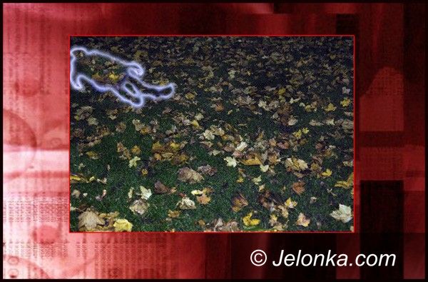 JELENIA GÓRA: Dwóch zatrzymanych w związku z zabójstwem