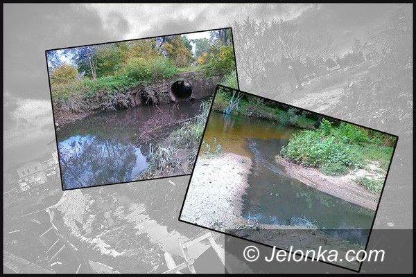 JELENIA GÓRA: Remont Młynówki zagrożeniem dla ryb?