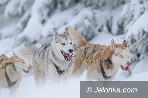 Jakuszyce: Sportowe emocje na polskiej Alasce