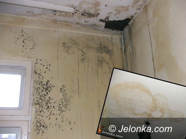 JELENIA GÓRA: Mieszkać po spartańsku. Wilgoć i grzyb w al. Wojska Polskiego