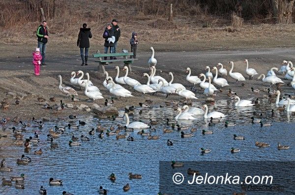 JELENIA GÓRA: Dziś pierwszy dzień wiosny!