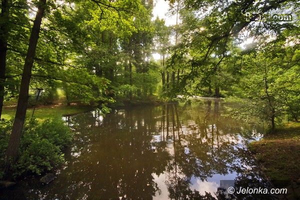 JELENIA GÓRA: Aktywna turystyka i lepszy Park Norweski