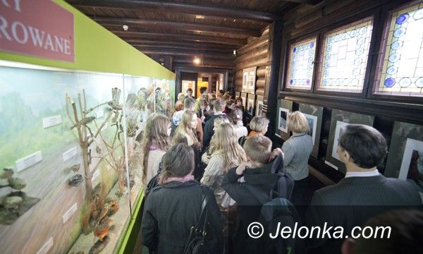 JELENIA GÓRA: Na początek wiosny: zdjęcia z lasu zimą