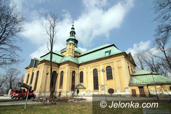JELENIA GÓRA: Dla tych lip ratunku nie było