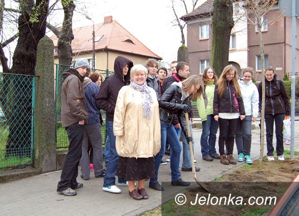 JELENIA GÓRA: Na pożegnanie z „Żeromem”. Posadzili drzewka