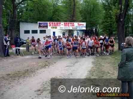 Jelenia Góra: Blisko stu biegaczy stanęło na starcie Crossu Cieplickiego 2011