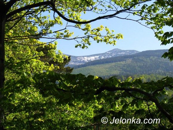 JELENIA GÓRA REGION: Matematyczna wiosna z teorią liczb