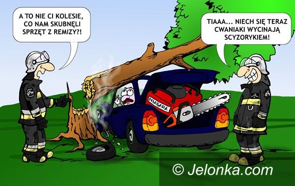 JELENIA GÓRA: Kradzione nie tuczy