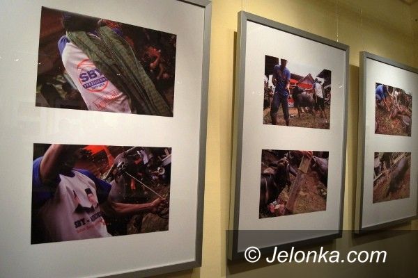 JELENIA GÓRA: Obiektywem Piotra Kloczkowskiego