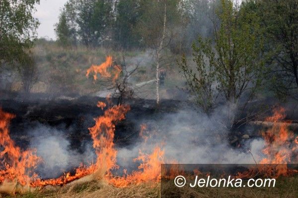 Jelenia Góra: Płonęły nieużytki koło byłej Celwiskozy