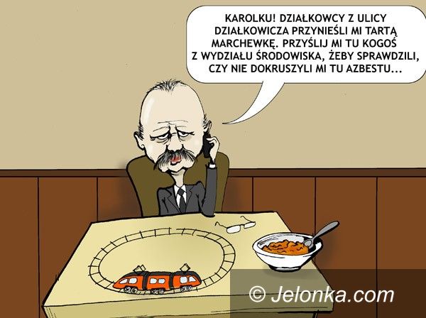 JELENIA GÓRA: Obiadek z działkową "wkładką"