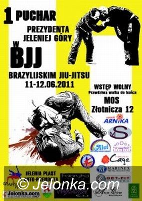 Jelenia Góra: Zapraszamy na I Puchar Prezydenta Jeleniej Góry w BJJ