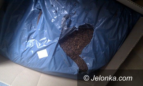Jelenia Góra: Chcieli wyłudzić kredyt, mogą dostać osiem lat
