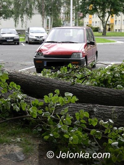 Jelenia Góra: Drzewo spadło na trzy samochody
