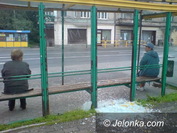 Jelenia Góra: Wiaty przystankowe celem wandali