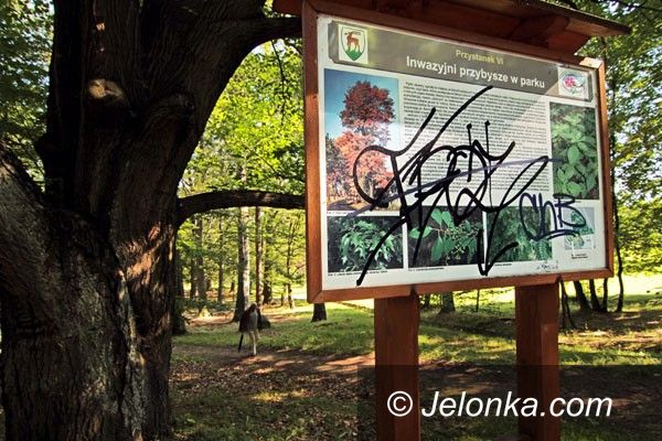 JELENIA GÓRA: Inwazyjni wandale na Wzgórzu Kościuszki