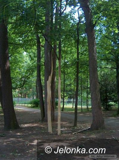JELENIA GÓRA: Park Zdrojowy rewitalizowany. Podtapiany i dewastowany