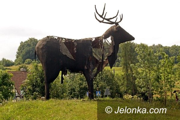REGION JELENIOGÓRSKI: Jak smutny jest los jelenia!