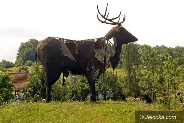 REGION JELENIOGÓRSKI: Jak smutny jest los jelenia!