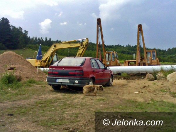 JELENIA GÓRA: Wycieńczony pies na uwięzi pilnuje placu budowy