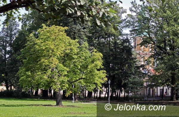 JELENIA GÓRA: Park Zdrojowy. Jeszcze nieotwarty a już okradziony