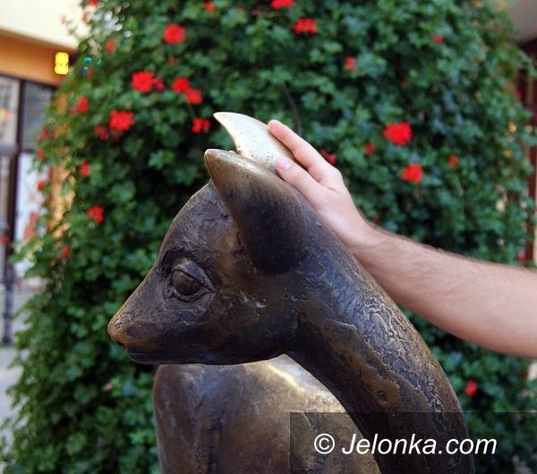 JELENIA GÓRA: Pogłaszcz jelonka po uchu. Na szczęście