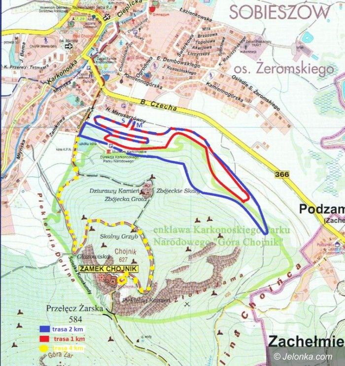 Jelenia Góra: II Mistrzostwa Jeleniej Góry w biegach przełajowych „Na Chojnik”