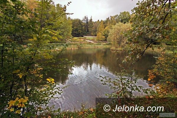 JELENIA GÓRA: Park na Wzgórzu Kościuszki wypięknieje