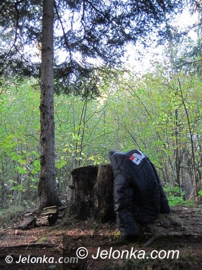 REGION JELENIOGÓRSKI: Jesienny kontakt z naturą… ludzką