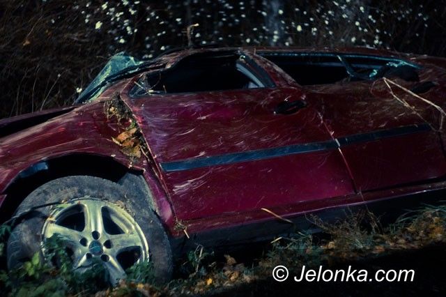 JELENIA GÓRA: Upił się, zobaczył zwierzę i wjechał do rowu