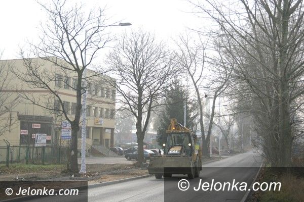 JELENIA GÓRA: Nie pomyśleli i posadzili. Teraz trzeba przycinać