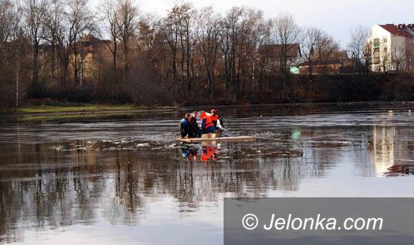 JELENIA GÓRA: Łabędziom będzie łatwiej zimą