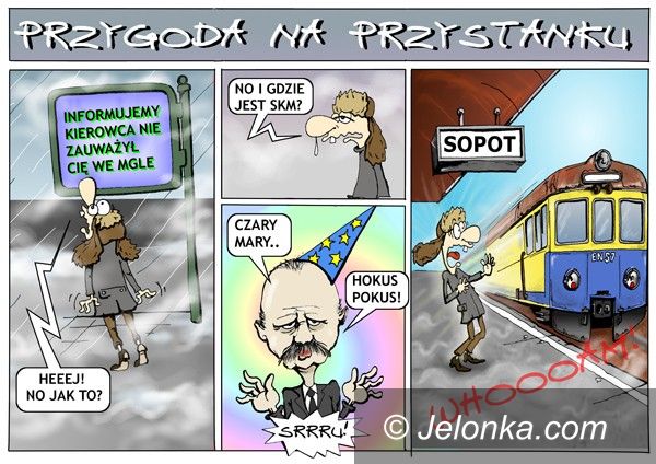 JELENIA GÓRA: Na przystanku wszystko może się zdarzyć...