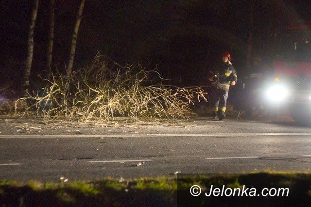 REGION JELENIOGÓRSKI: Wiało huraganowo. Powieje jeszcze dziś