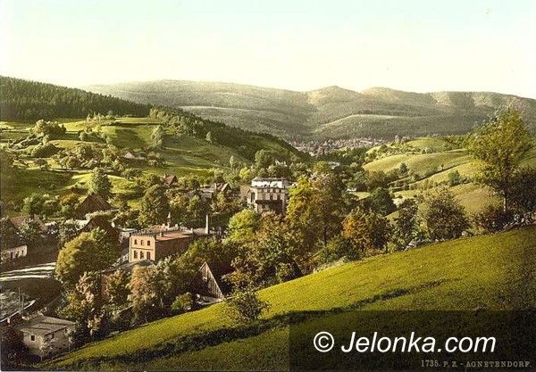 REGION JELENIOGÓRSKI: Jagniątków jak za dawnych lat