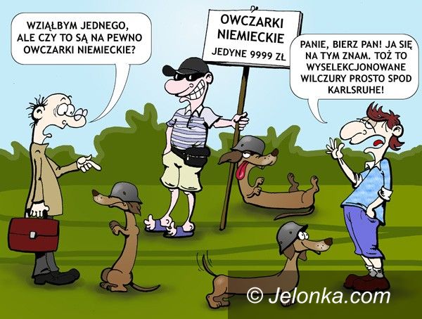JELENIA GÓRA: Scenka z psiego targu